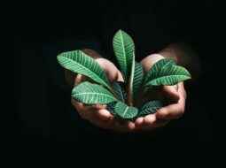 Philanthropie d’entreprise